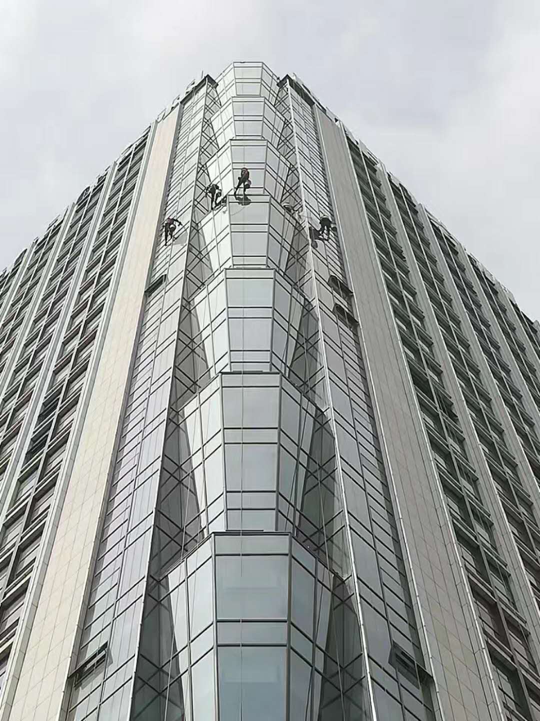 濟南黄瓜视频APP在线观看